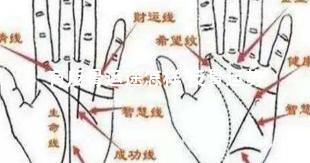 有反骨运途怎样 反骨运势